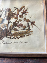 Load image into Gallery viewer, Pair of 19th century herbiers